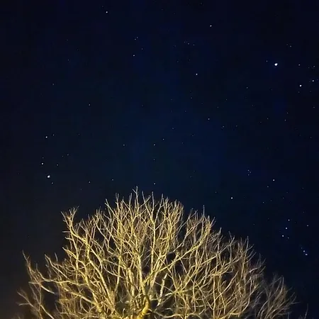 #kraftort_nock-loft Διαμέρισμα Sirnitz