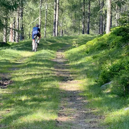 #kraftort_nock-loft Διαμέρισμα Sirnitz