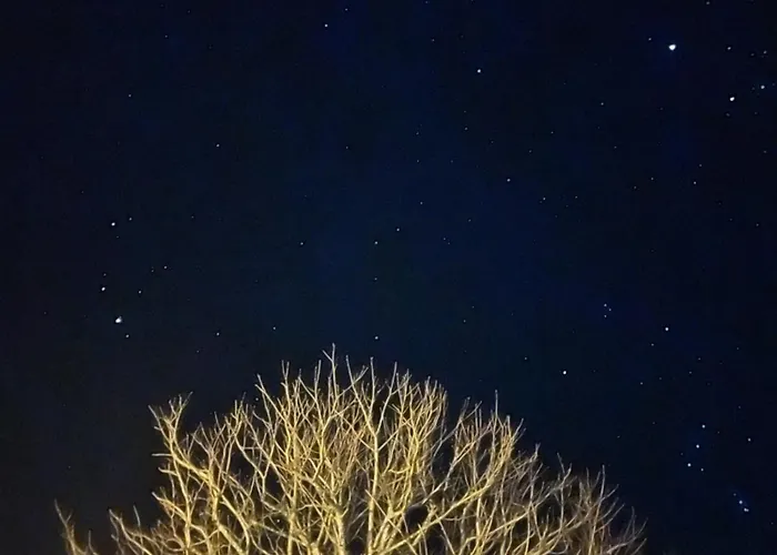 #kraftort_nock-loft Daire Sirnitz