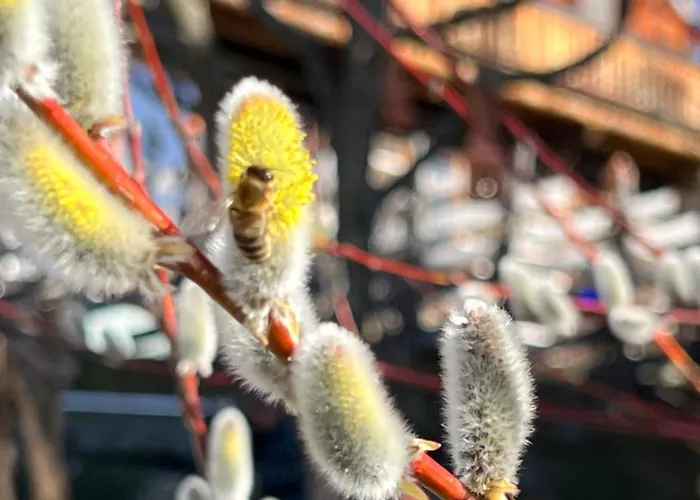 Daire #kraftort_nock-loft *