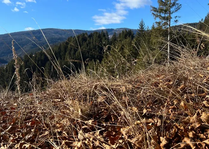 #kraftort_nock-loft Sirnitz