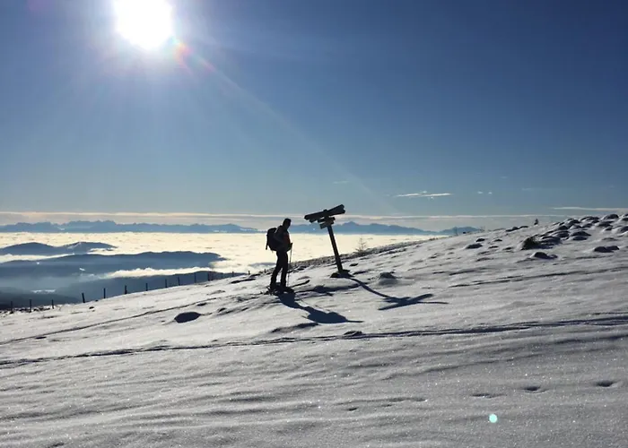 #kraftort_nock-loft * Sirnitz