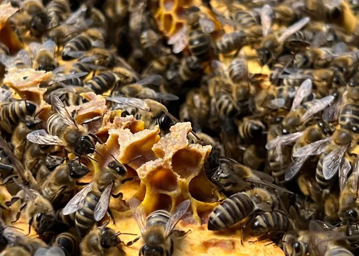 #kraftort_nock-loft דירה