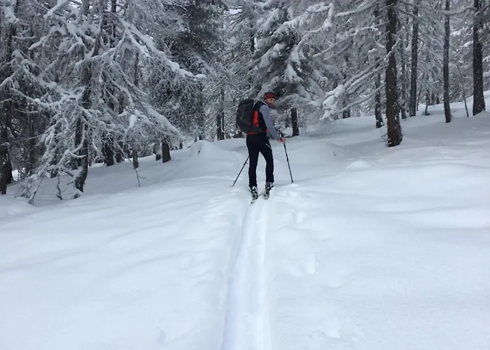 #kraftort_nock-loft Sirnitz